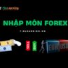 Forex nền tảng